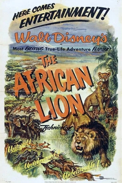 Afrikas lejon (1955) Poster