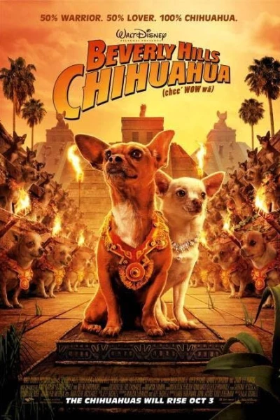 Chihuahuan från Beverly Hills (2008) Poster