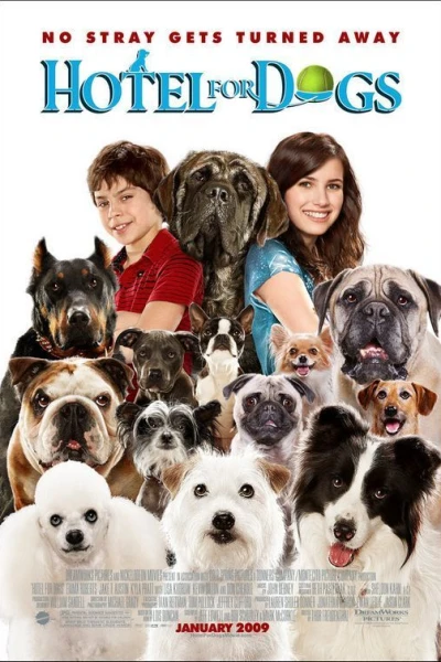 Hundpensionatet (2009) Poster