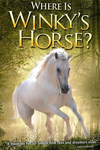 Winky och jakten på den försvunna hästen (2007) Poster